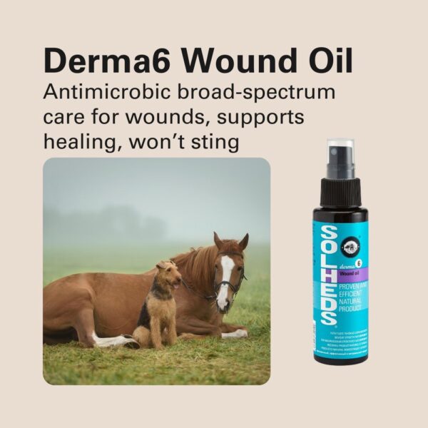 555967165-1345390100929312-4225451153398380273-n