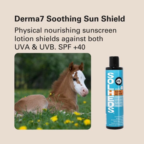 558353468-1351921030276219-2203789725477997535-n