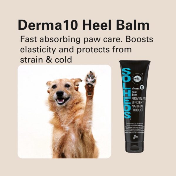 571364972-1372722698196052-7083337605925478276-n