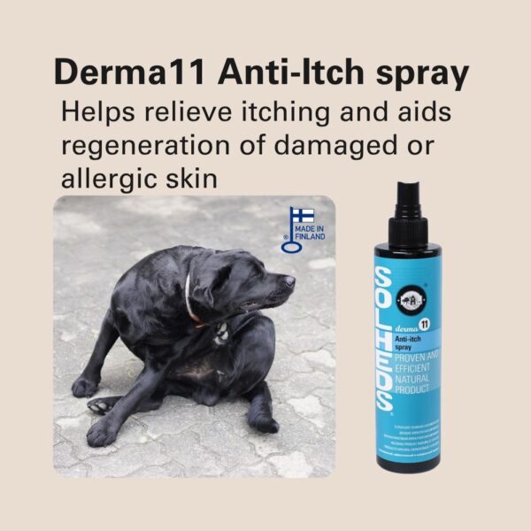 575183871-1382054477262874-2099759265722403252-n