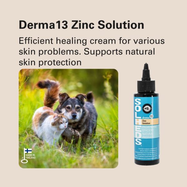 588616106-1400475865420735-5072461549168586862-n