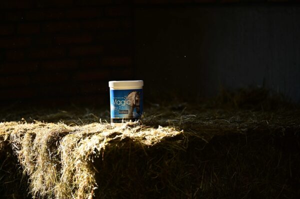 721045075-ambi-1-web