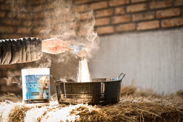 721045075-ambi-2-web