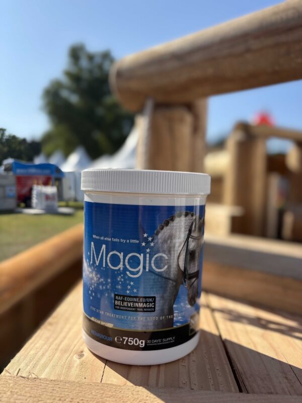 721045075-ambi-4-web