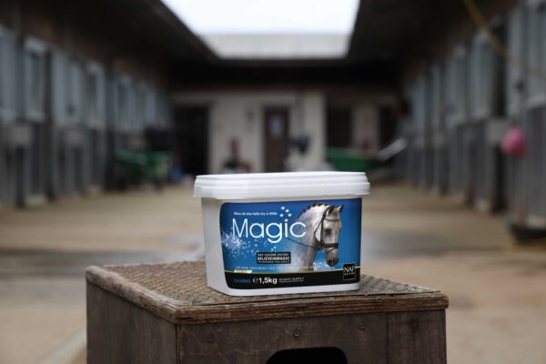 721045150-ambi-1-web