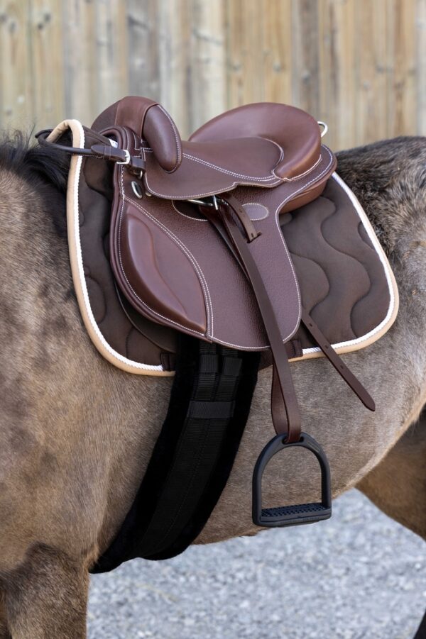 920100155-ambi-1-web