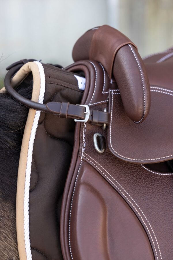 920100155-ambi-2-web