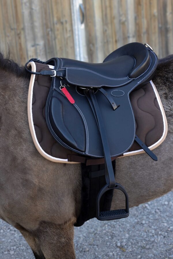 920112155-ambi-1-web