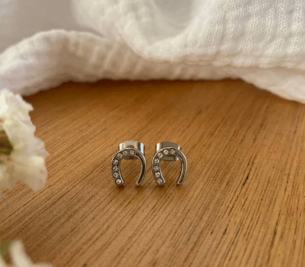 Screenshot-2025-12-13-at-12-41-27-Emy-earrings-rhinestone-horseshoe-steel-or-gold