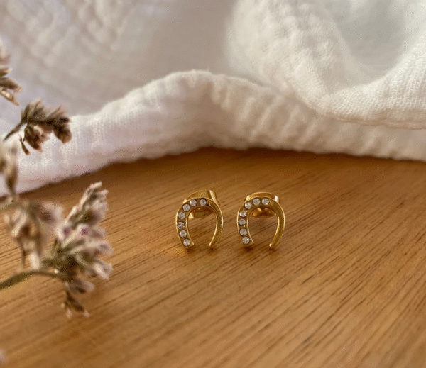Screenshot-2025-12-13-at-12-42-04-Emy-earrings-rhinestone-horseshoe-steel-or-gold