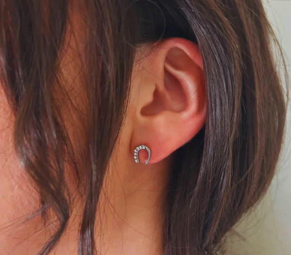 Screenshot-2025-12-13-at-12-42-18-Emy-earrings-rhinestone-horseshoe-steel-or-gold