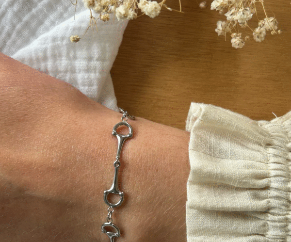 Screenshot-2025-12-13-at-21-40-11-Gubbe-Bracelet-Small-Equestrian-Bits-Steel-or-Gold