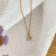 Screenshot-2025-12-15-at-16-54-40-Lola-necklace-zircon-horseshoe-pendant-steel-or-gold Screenshot-2025-12-15-at-16-54-40-Lola-necklace-zircon-horseshoe-pendant-steel-or-gold