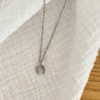 Screenshot-2025-12-15-at-16-56-46-Lola-necklace-zircon-horseshoe-pendant-steel-or-gold