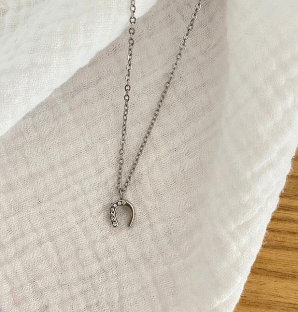 Screenshot-2025-12-15-at-16-56-46-Lola-necklace-zircon-horseshoe-pendant-steel-or-gold