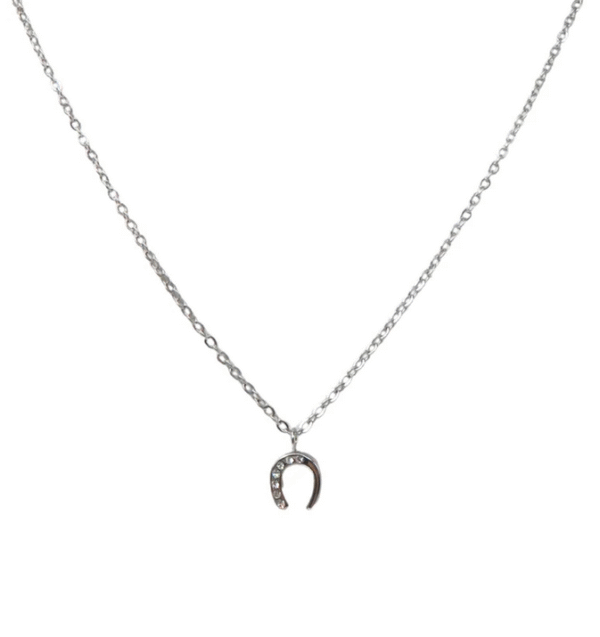 Screenshot-2025-12-15-at-16-56-54-Lola-necklace-zircon-horseshoe-pendant-steel-or-gold