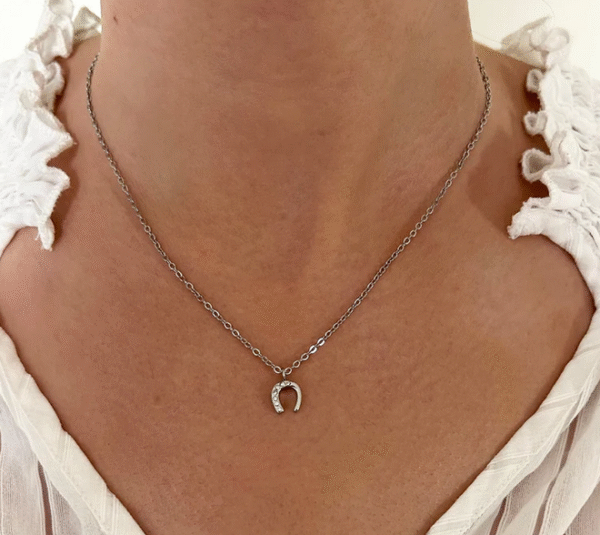 Screenshot-2025-12-15-at-16-57-02-Lola-necklace-zircon-horseshoe-pendant-steel-or-gold