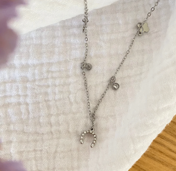 Screenshot-2025-12-15-at-18-59-14-Ziggy-Necklace-horseshoe-clover-charms-steel-or-gold