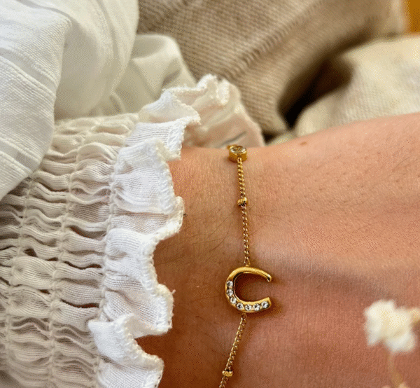 Screenshot-2025-12-15-at-22-17-42-Vega-Bracelet-horseshoe-set-with-zirconiums-steel-or-gold