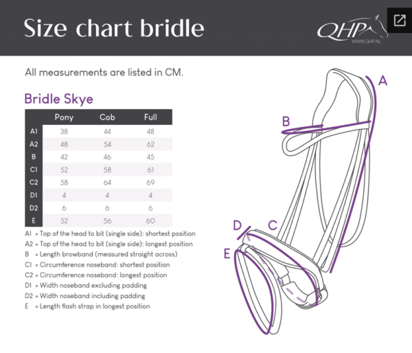 Screenshot-2025-12-17-at-17-21-53-Bridle-Skye-Brands-of-Q