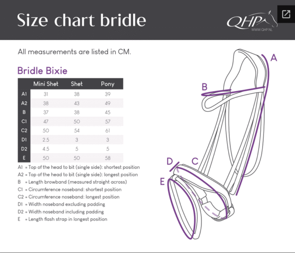 Screenshot-2025-12-21-at-06-35-31-Bridle-Bixie-Brands-of-Q