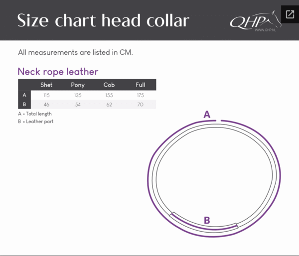 Screenshot-2025-12-24-at-21-15-20-Neck-rope-leather-Brands-of-Q