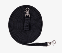 Screenshot-2025-12-24-at-21-16-01-Long-rein-Brands-of-Q