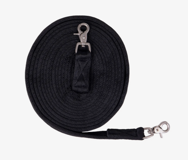 Screenshot-2025-12-24-at-21-16-01-Long-rein-Brands-of-Q