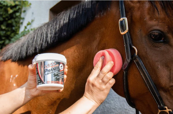 Screenshot-2025-12-29-at-17-24-39-Power-Phaser-Durativ-leovet