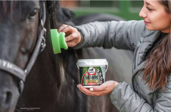 Screenshot-2025-12-29-at-17-28-51-TamTamVet-Intensiv-leovet