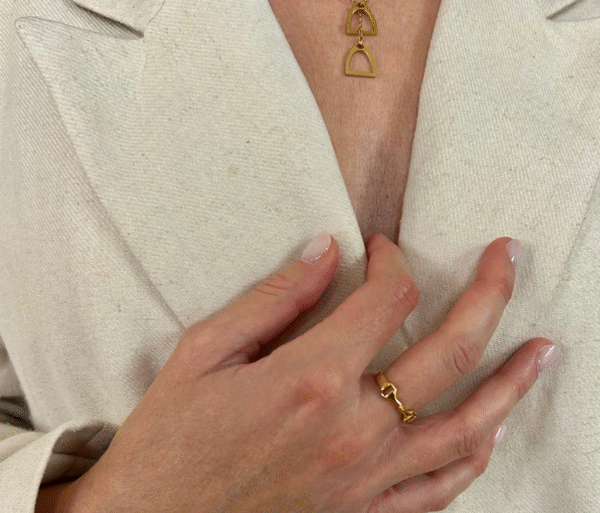 Screenshot-2025-12-29-at-17-59-29-Equestrian-bit-ring-304L-steel-or-gold-adjustable