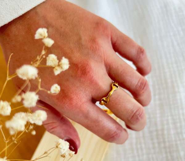 Screenshot-2025-12-29-at-18-00-07-Equestrian-bit-ring-304L-steel-or-gold-adjustable