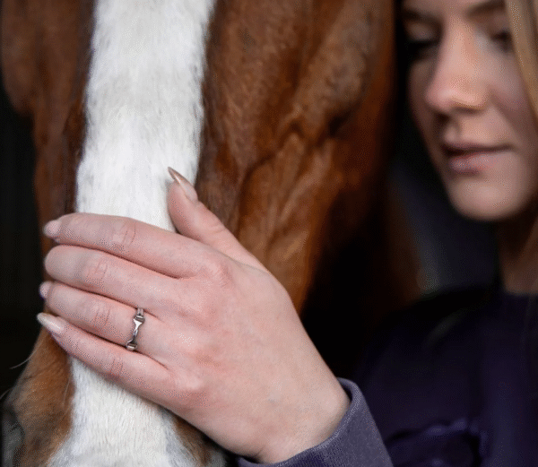 Screenshot-2025-12-29-at-18-00-21-Equestrian-bit-ring-304L-steel-or-gold-adjustable