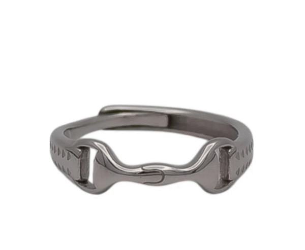 Screenshot-2025-12-29-at-18-00-28-Equestrian-bit-ring-304L-steel-or-gold-adjustable
