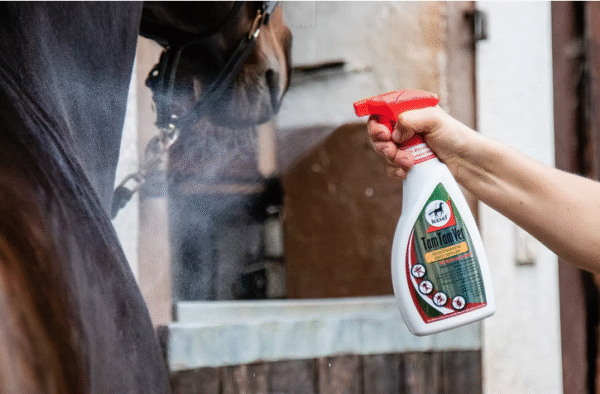 Screenshot-2025-12-29-at-18-20-26-TamTamVet-leovet