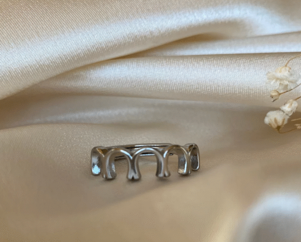 Screenshot-2025-12-29-at-22-03-05-Fiera-Ring