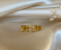 Screenshot-2025-12-29-at-22-04-18-Fiera-Ring