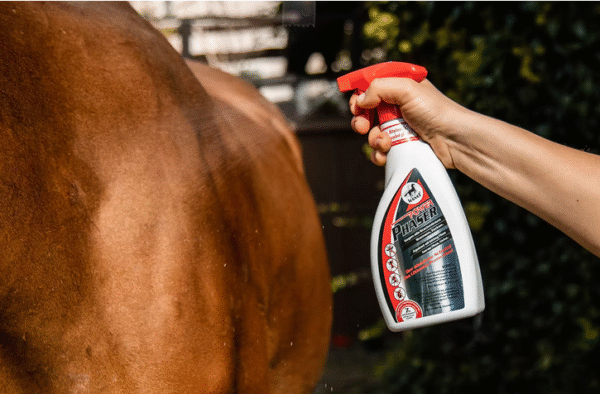 Screenshot-2025-12-29-at-22-17-31-Power-Phaser-leovet