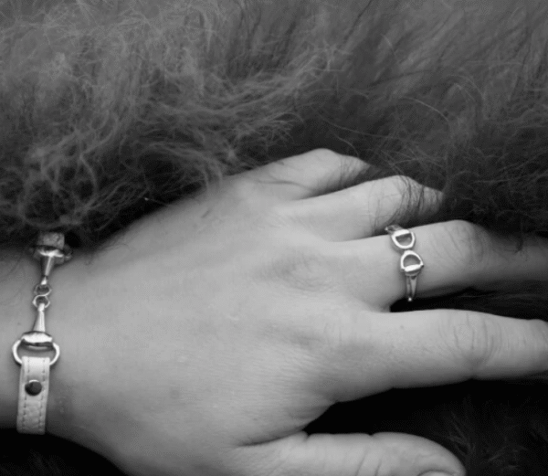 Screenshot-2025-12-30-at-11-59-29-Steel-Horse-Bit-Ring-Ota-Equestrian-Shop