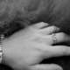 Screenshot-2025-12-30-at-11-59-29-Steel-Horse-Bit-Ring-Ota-Equestrian-Shop Screenshot-2025-12-30-at-11-59-29-Steel-Horse-Bit-Ring-Ota-Equestrian-Shop