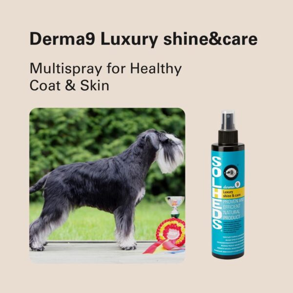 568212181-1366899468778375-2098689674384009749-n