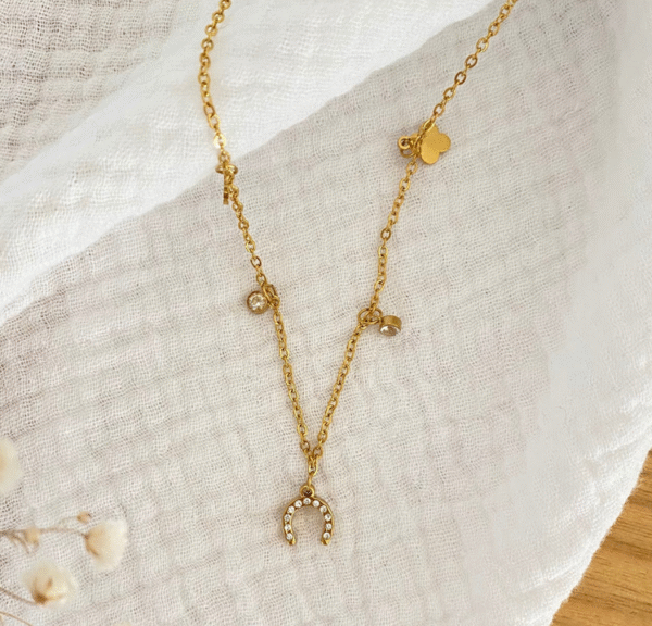 Screenshot-2026-01-09-at-07-42-25-Ziggy-Necklace-horseshoe-clover-charms-steel-or-gold