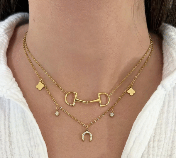 Screenshot-2026-01-09-at-07-42-48-Ziggy-Necklace-horseshoe-clover-charms-steel-or-gold