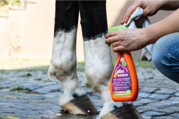 Screenshot-2026-01-09-at-07-51-23-Equinatura-Waterless-Shampoo-Equinatura