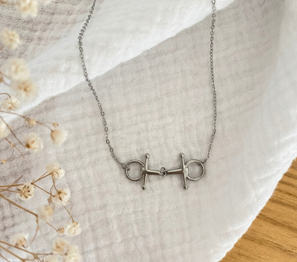 Screenshot-2026-01-10-at-23-21-36-Cisko-Necklace-Stiletto-Bit-Pendant-Steel-or-Gold