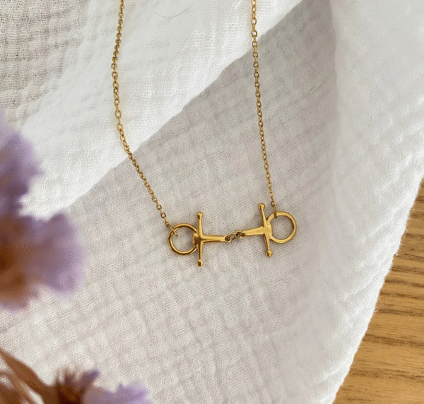 Screenshot-2026-01-10-at-23-26-18-Cisko-Necklace-Stiletto-Bit-Pendant-Steel-or-Gold