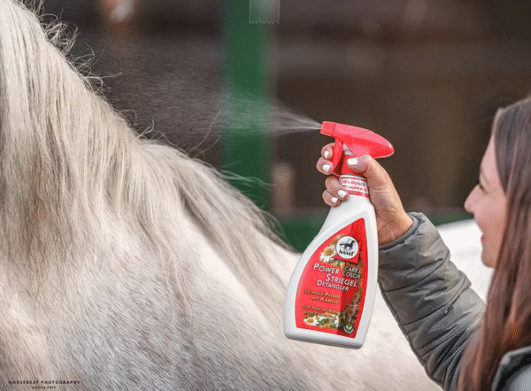 Screenshot-2026-01-11-at-19-15-06-Power-Detangler-Camomile-leovet