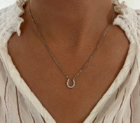 Screenshot-2026-01-13-at-20-40-52-Fiera-rhinestone-necklace-horseshoe-necklace-steel-or-gold