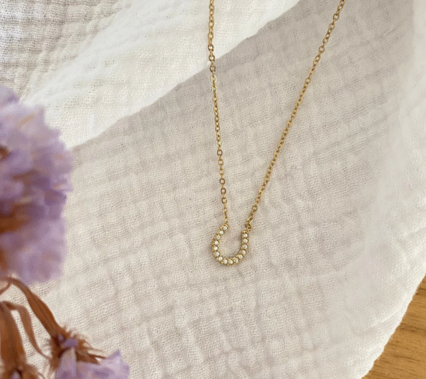 Screenshot-2026-01-13-at-20-42-06-Fiera-rhinestone-necklace-horseshoe-necklace-steel-or-gold