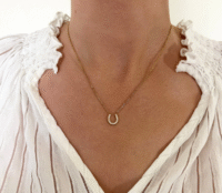 Screenshot-2026-01-13-at-20-42-15-Fiera-rhinestone-necklace-horseshoe-necklace-steel-or-gold